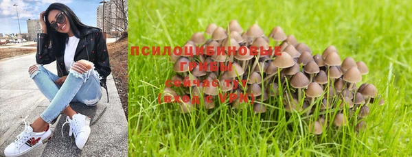 шишки Аркадак