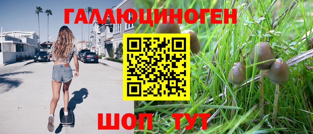 Галлюциногенные грибы GOLDEN TEACHER Новошахтинск