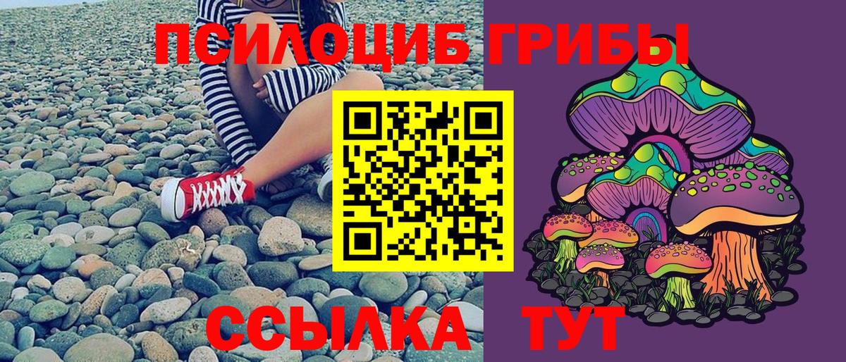 Новошахтинск  Псилоцибиновые грибы мухоморы  Вход с VPN 